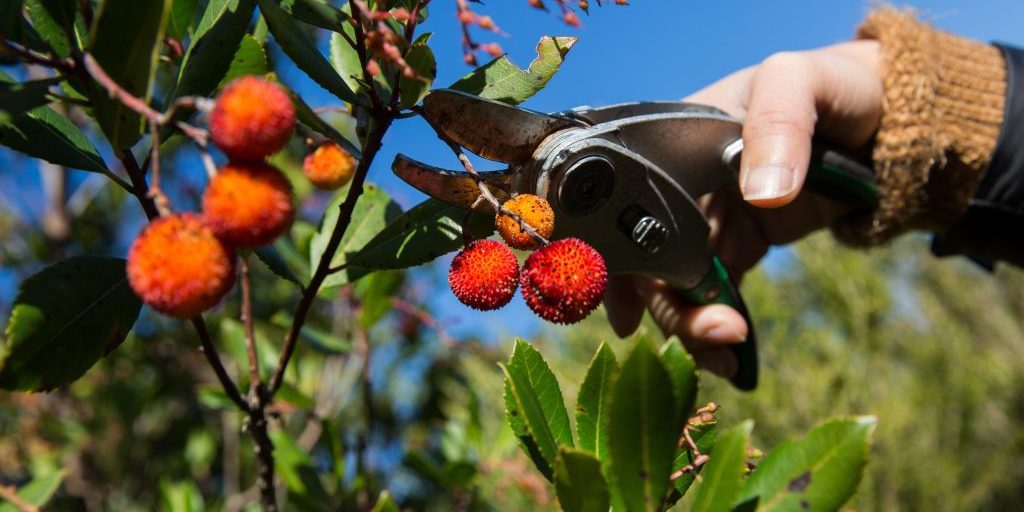 @UNIVERSITÀ DI CORSICA