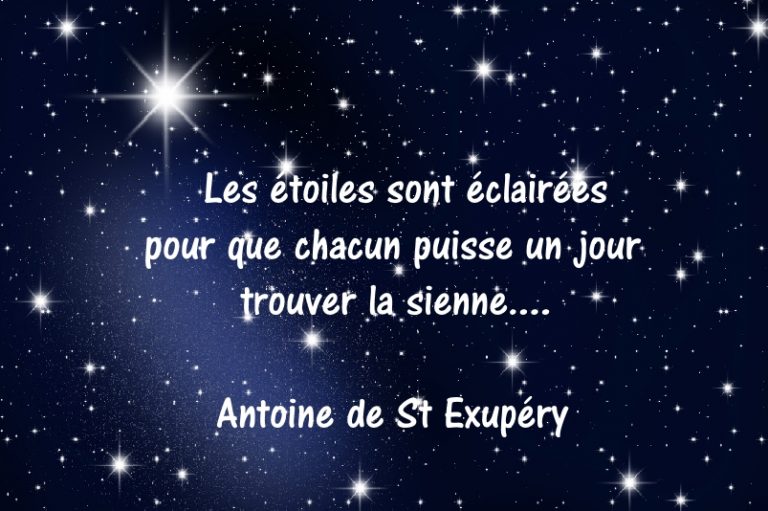 Miss Konfidentielle vous conseille les Nocturnes de la