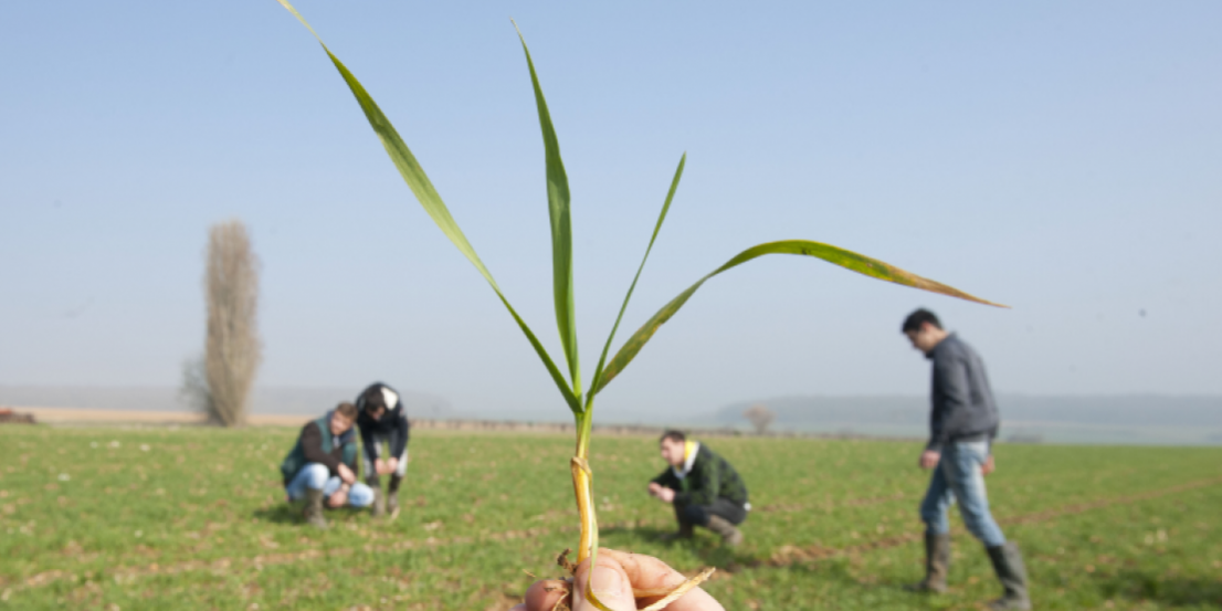 Cheick Saidou : agriculture.gouv.fr