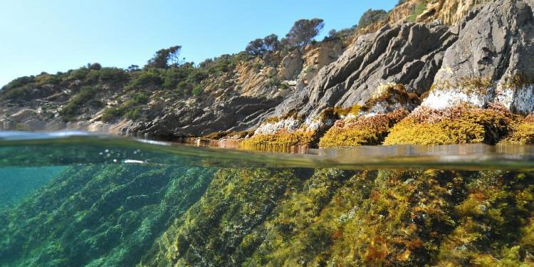 Le parc national de Port-Cros sur misskonfidentielle © Colombini H