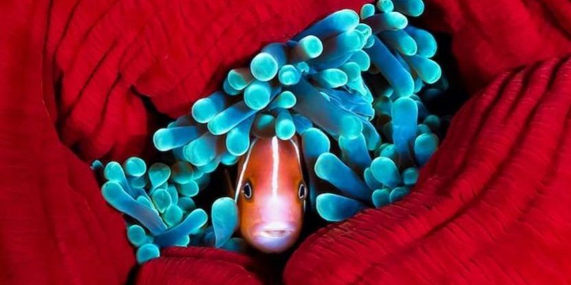 Journée mondiale des océans des Nations Unies, le 8 juin 2021 sur misskonfidentielle © ONU