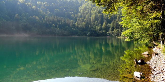 Les actualités du vocabulaire de l’environnement avec FranceTerme sur le media misskonfidentielle.com © Alsace Nature