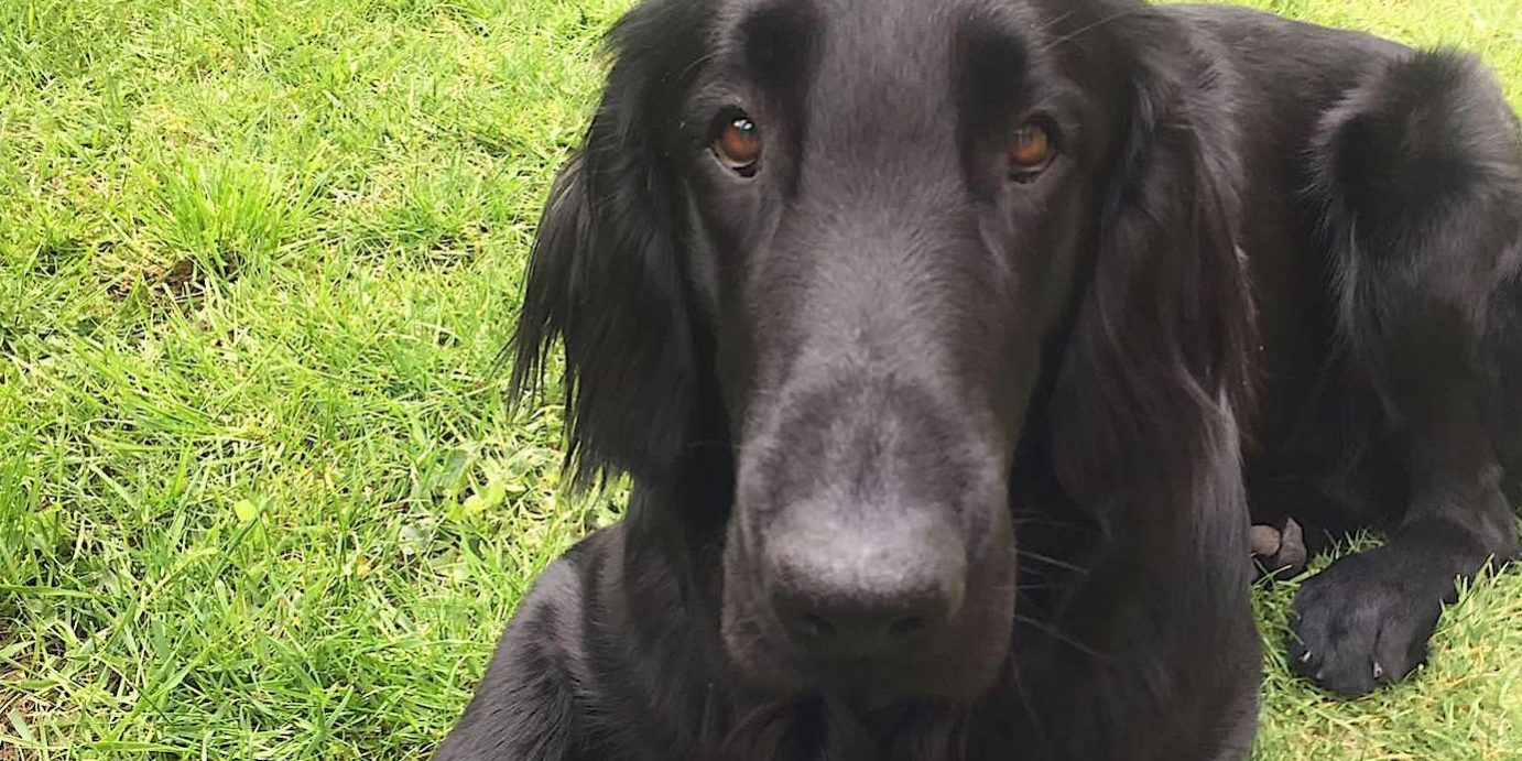 Sécurité, Défense, Justice, Education, Culture – Que sont-ils devenus ? sur misskonfidentielle.com © Scott pour Valérie Desforges