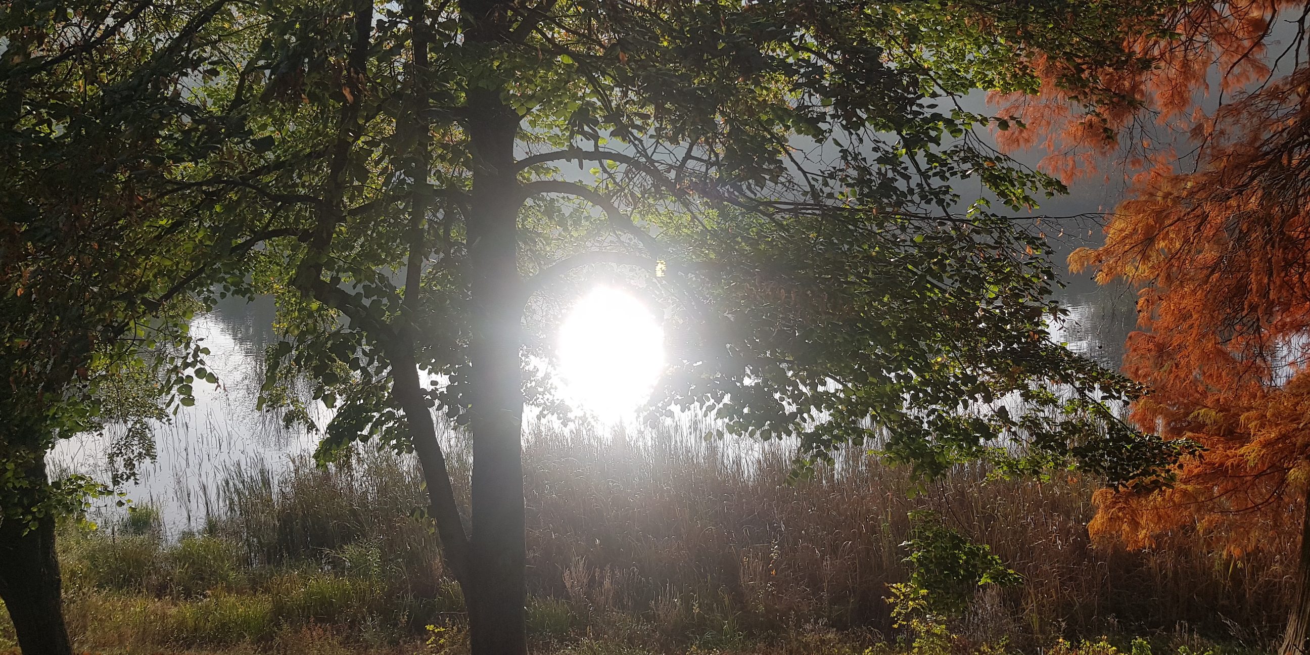 Sécurité, Défense, Justice, Education Que sont-ils devenus ? misskonfidentielle.com © Valérie Desforges