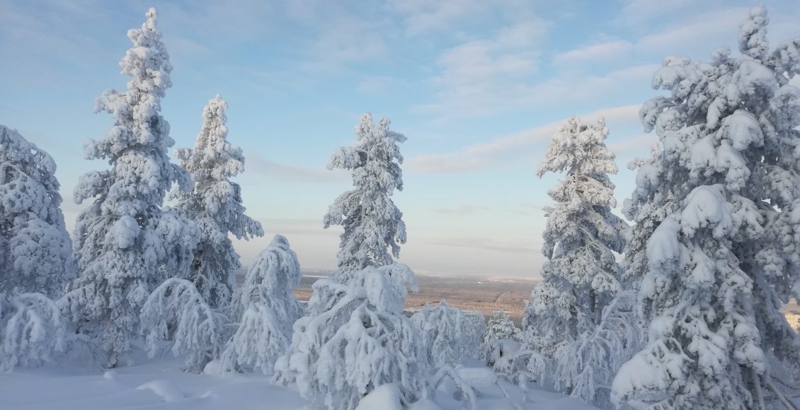 Laponie-foret-hiver-_-Laurent-Vandecapelle-pour-misskonfidentielle.com-©-Laurent-Vandecapelle