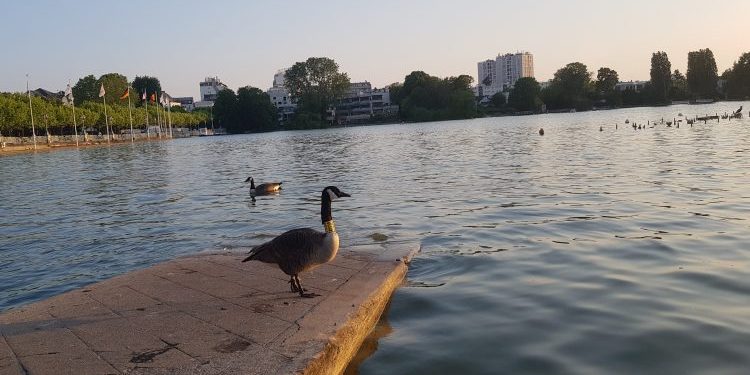 @ Miss Konfidentielle