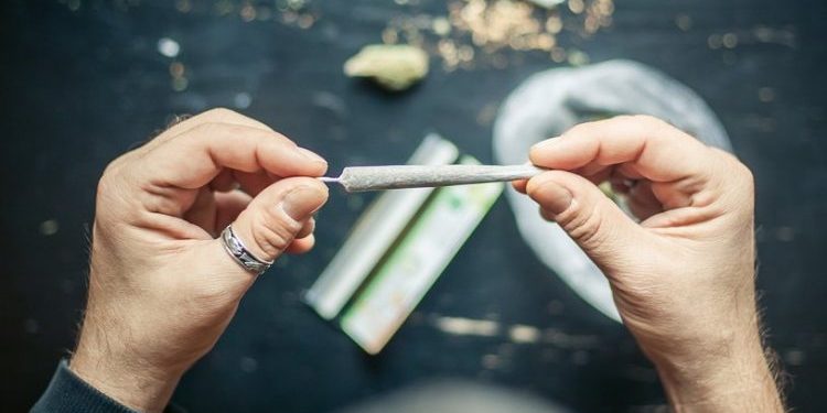Personne roulant un joint de cannabis sur le site CED © stock.adobe.com-guruXOX