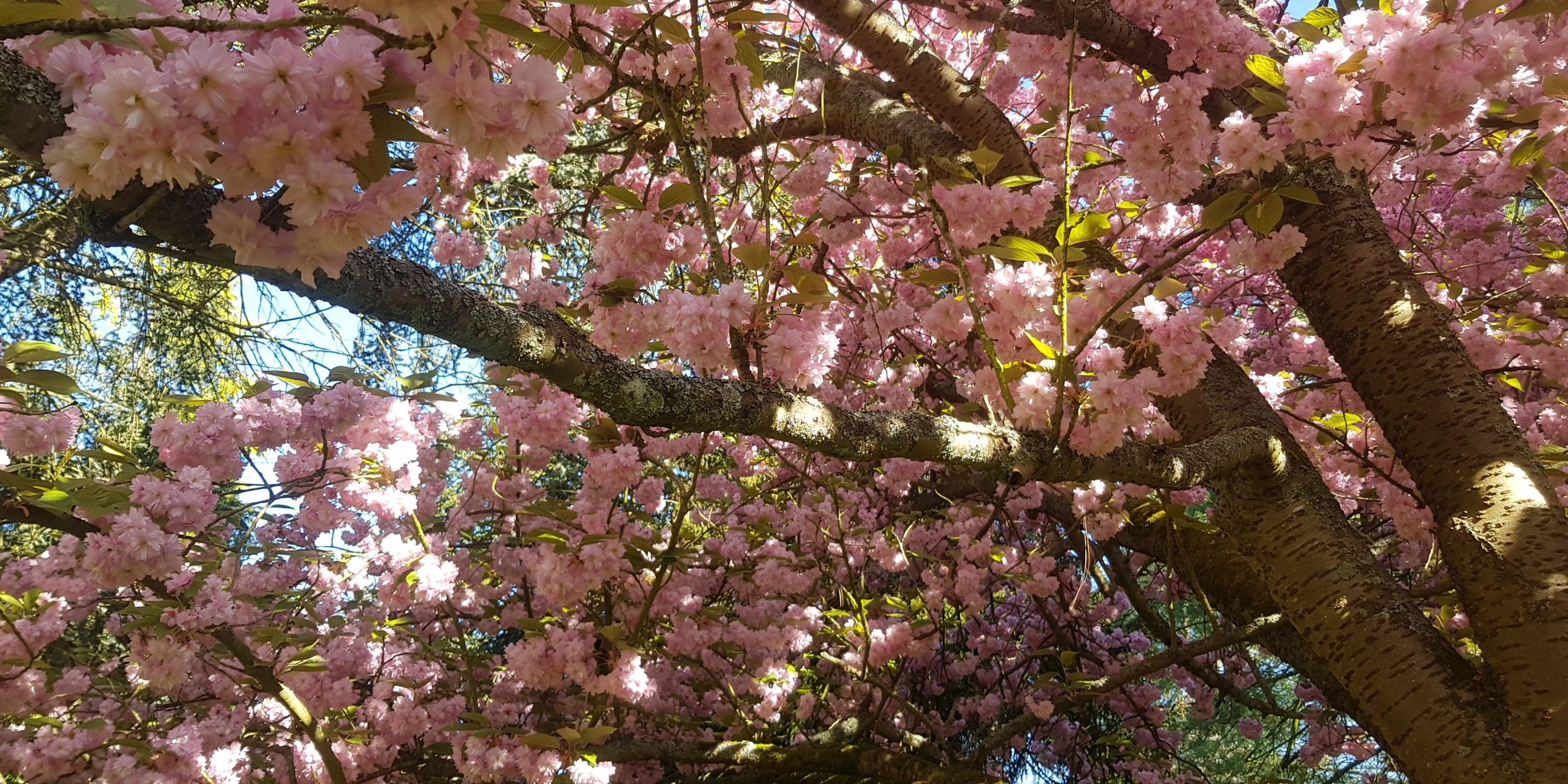 Loi Duplomb-Menonville © Miss Konfidentielle