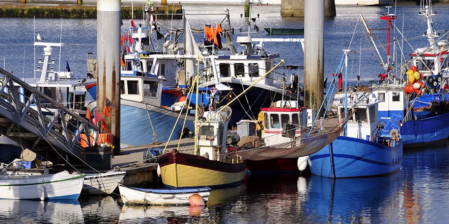 Port de pêche de Quiberon © Thinkstock