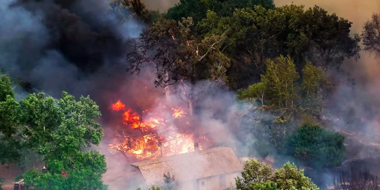 Environnement – Le Gouvernement en France lance la campagne 2026 pour encourager le débroussaillement